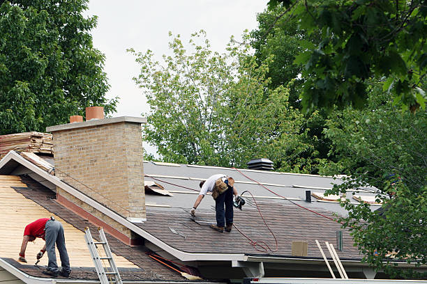 Best Roof Insulation Installation  in Dry Run, OH